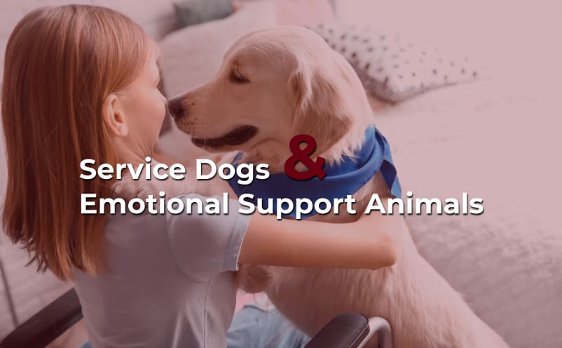 service dog and emotional support animals