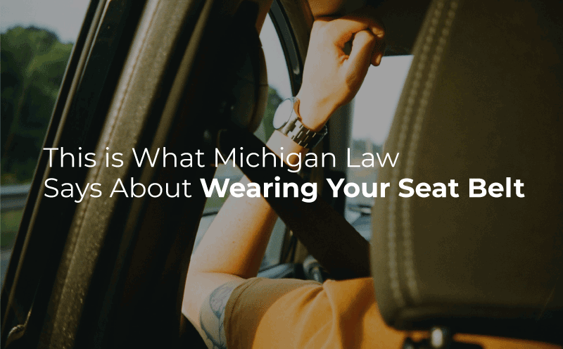 Michigan seatbelt law