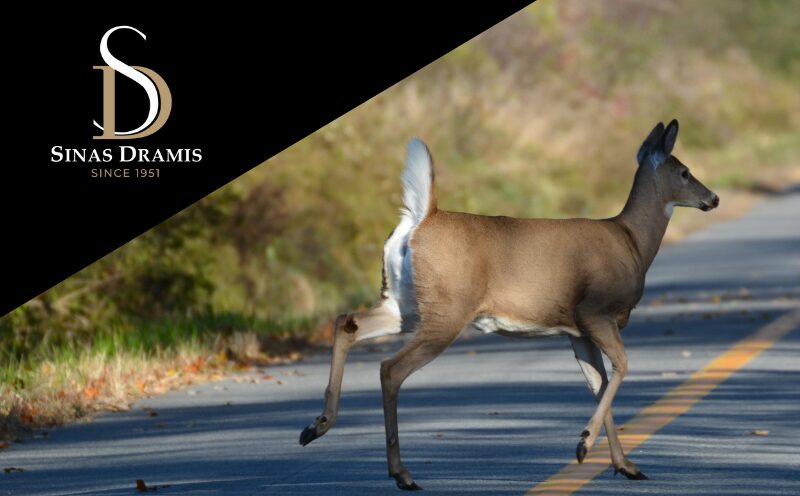 Deer Season Blog Sinas Dramis