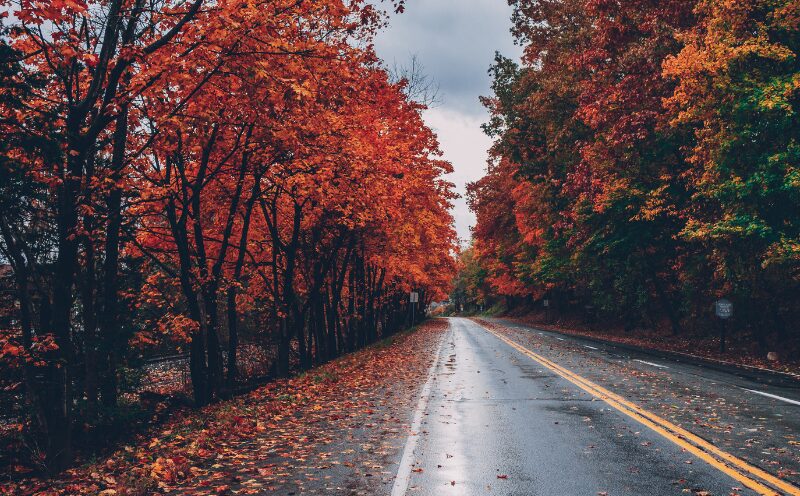 Grand Rapids Personal Injury Fall Driving Hazards - Sinas Dramis