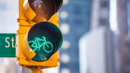 Improving Safety for Cyclists in West Michigan: The Role of Bike Traffic Lights