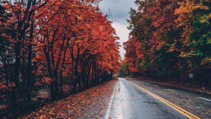 Fall Driving Hazards in West Michigan: Wet Leaves, Early Frost & Poor Visibility