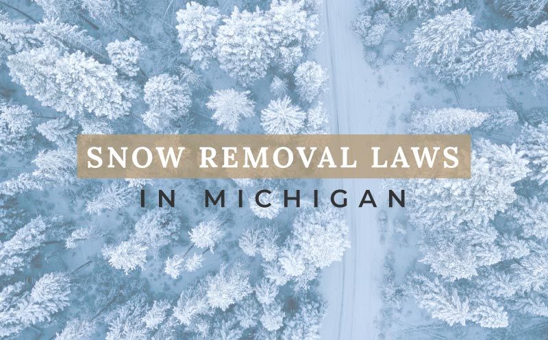 Snowy Sidewalks, Cars, and the Michigan Snow Removal Law