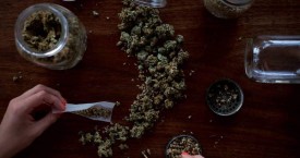 What You Need to Know About the Michigan Marijuana Vote 2018